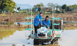 “ཞིང་ནང་སློབ་གྲྭ”འདི་འཁྲུག་ཆ་ཧ་ཅང་དོད།